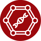 icon with dna strand inside cell