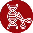 icon of dna strand being clipped by scissors