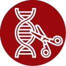 icon of dna strand being clipped by scissors
