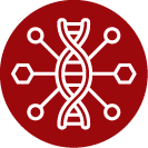 icon of dna strand with a web of notes around it
