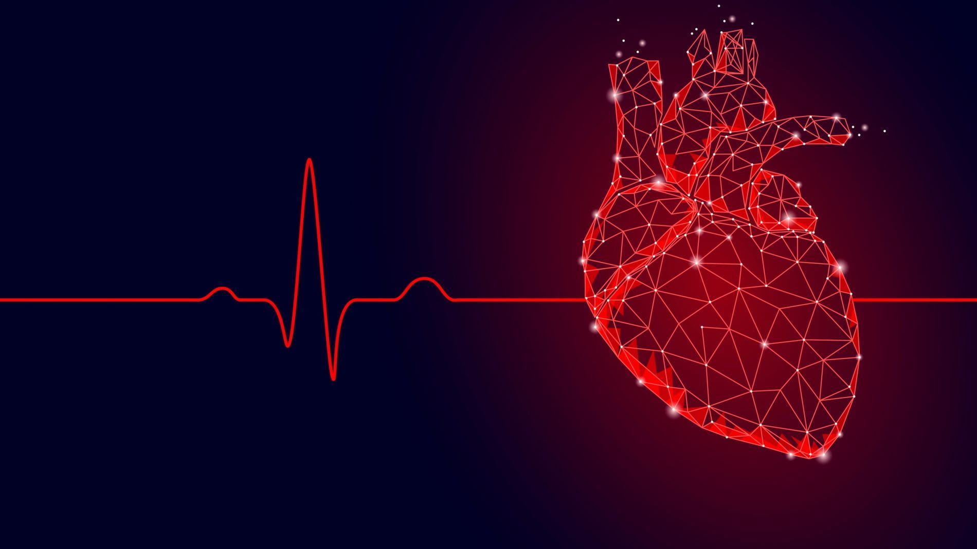 illustration of heart and heart beat line