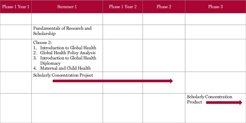 global health course and project timeline