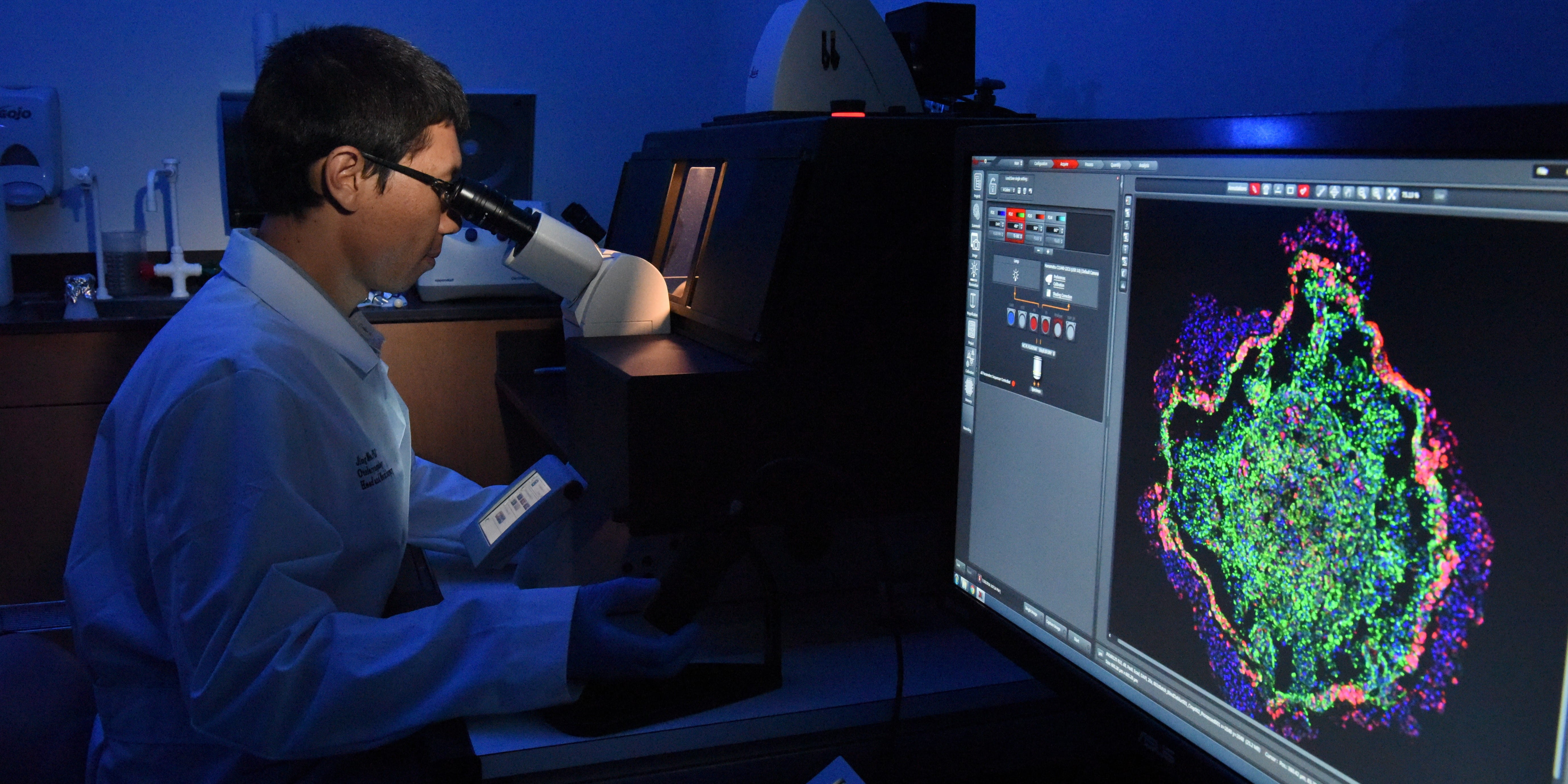 a student views a sample under a microscope