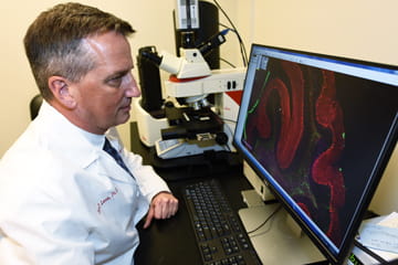 a researcher looks at cells on a computer screen