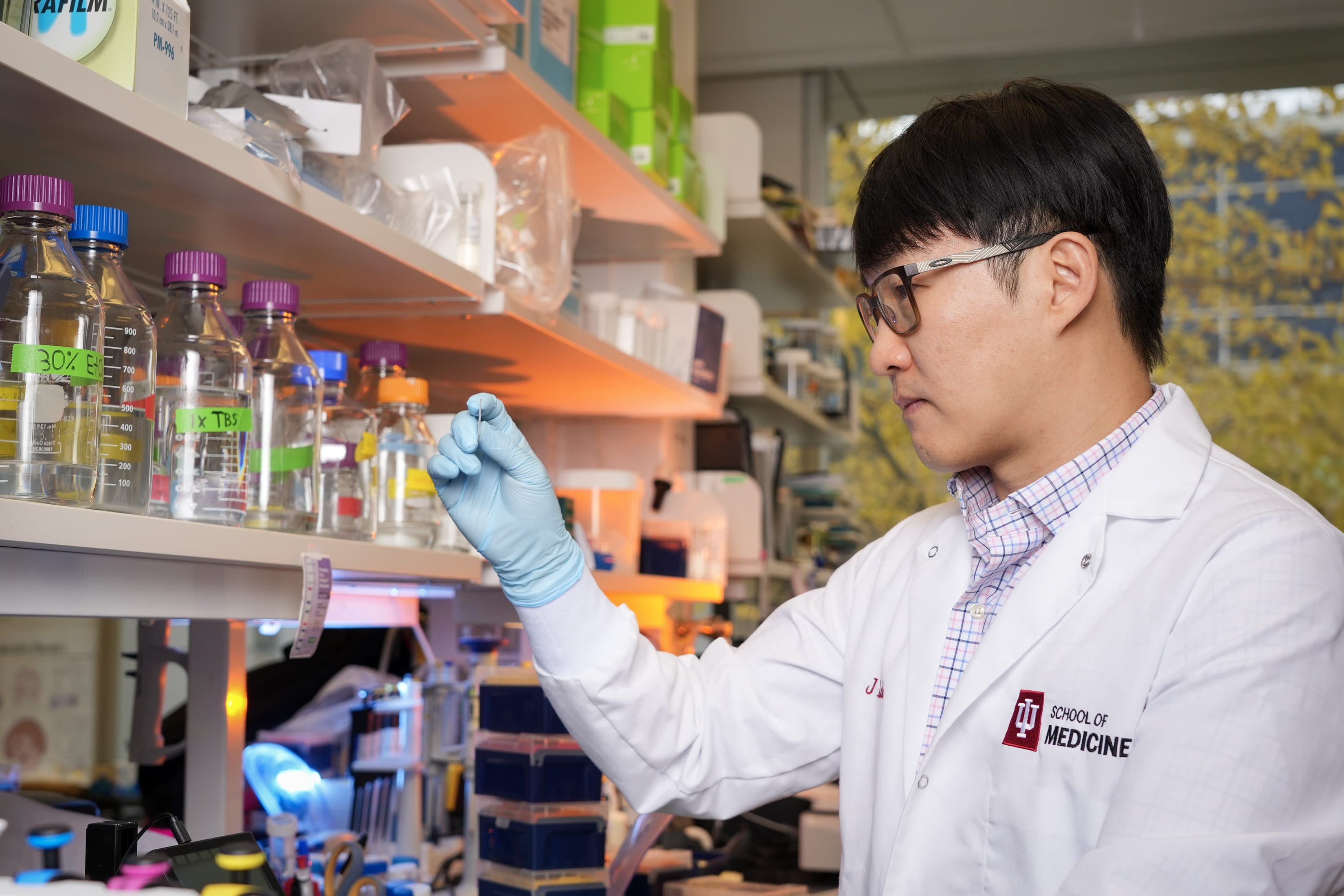 a researcher works in a lab