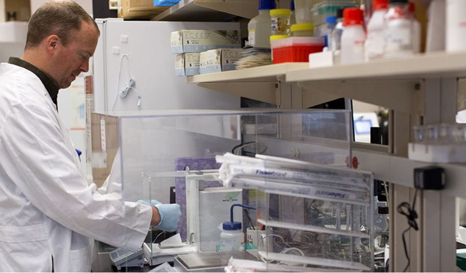 a scientist works in the lab