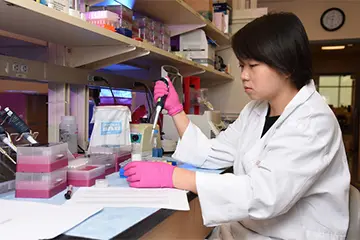 A researcher prepares a sample in the lab
