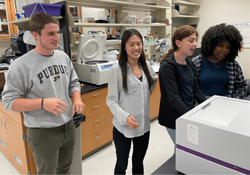 Student interns working in the Gaston lab
