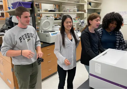 Student interns working in the Gaston lab