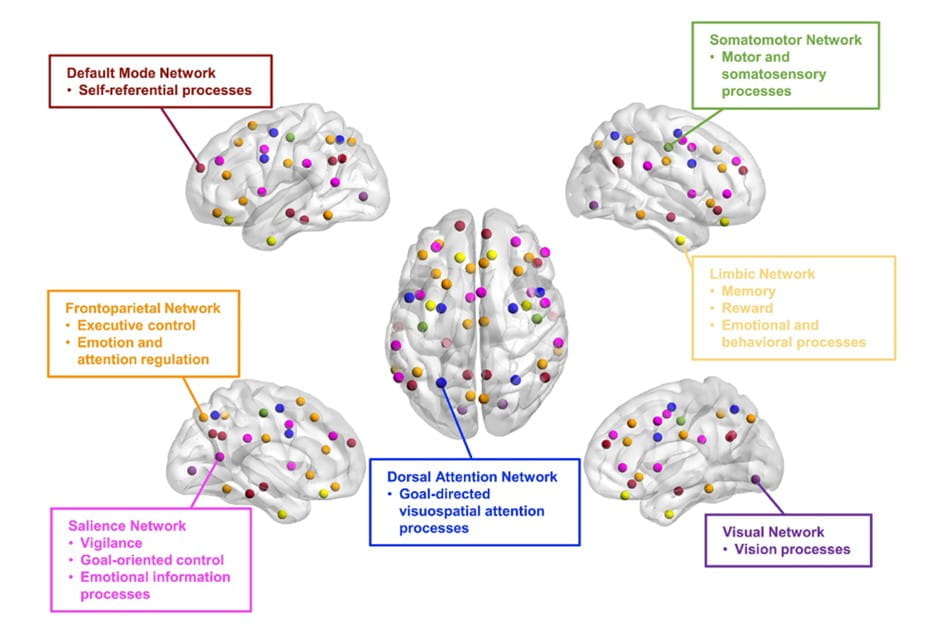 Human functional brain networks