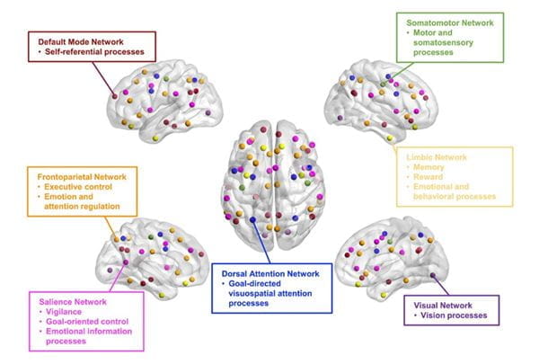 Human functional brain networks