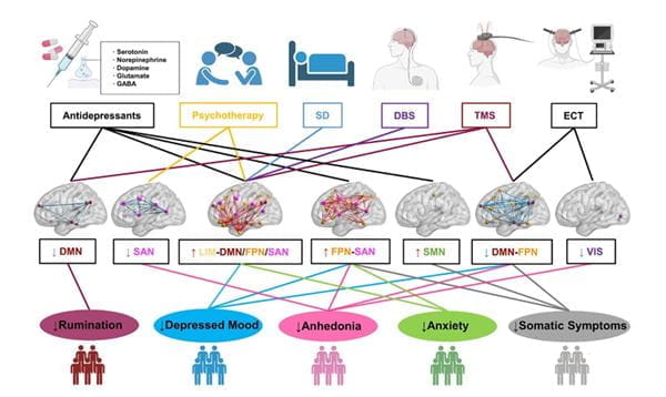 Hypothetical model of symptom-specific, network-guided treatments