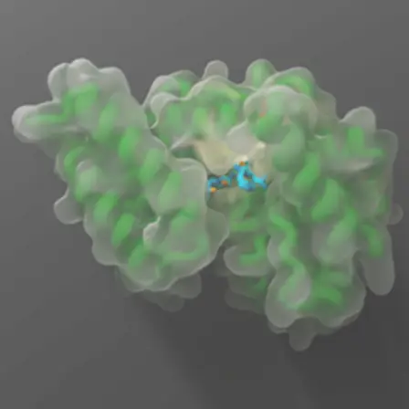 Lysine methylation
