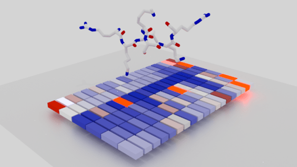 graphic of lysine methylation regulating protein function