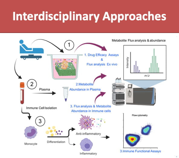 A diagram shows the interdisciplinary approaches in the lab including using samples from patients like plasma to isolate immune cells, leading to immune function analysis. Other samples are used for drug efficacy assays or to look for metabolite flux analysis and abundance.