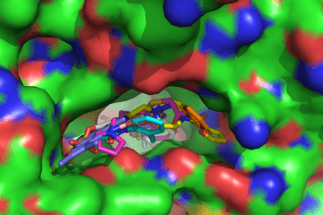 Model of aldehyde dehydrogenases