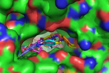 Model of aldehyde dehydrogenases