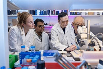 Dr. Gao and students looking at a microscope in the lab