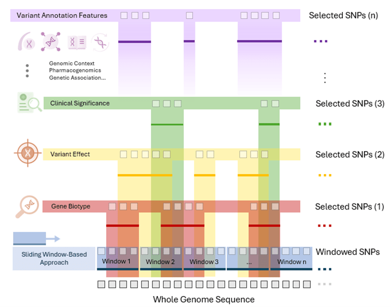 Diagram illustrating a multi-layer framework for SNP prioritization across the whole genome sequence. Horizontal colored tracks represent annotation categories including variant annotation features, clinical significance, variant effect, and gene biotype. A sliding window–based approach partitions the genome into sequential windows. Each layer highlights a decreasing number of selected SNPs, visually summarized at the right side. The bottom axis shows the full genome sequence divided into windows.