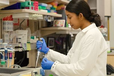a researcher prepares a sample in the lab