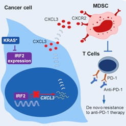 illustration of de novo resistance to anti-PD-1 therapy