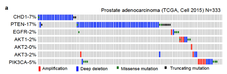 bioinformatic analysis of prostate adenocarcinoma