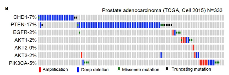 bioinformatic analysis of prostate adenocarcinoma