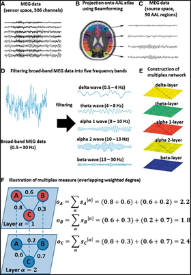 pattern information flow graphic