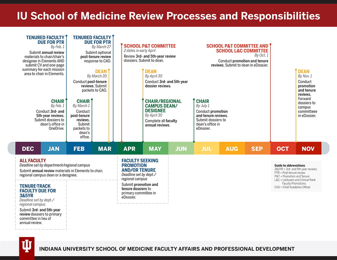 timeline showing review process and responsibilities