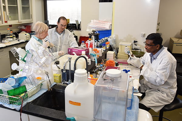 Faculty work in the Liangpunsakul Lab