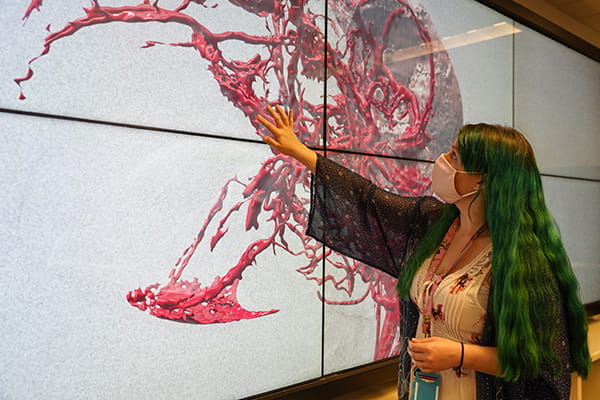 A student uses the IQ wall at the Ruth Lilly Medical Library
