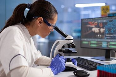 A microbiologist looks into a microscope