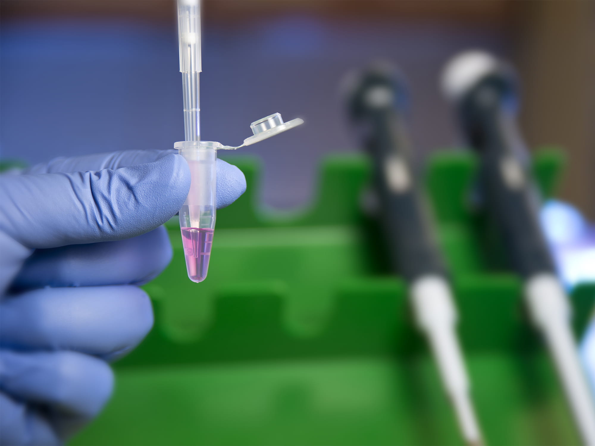 A close-up image of a research scientist's gloved hand holding a small test tube containing pink fluid