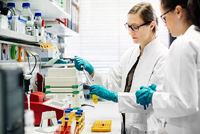 Two researchers in a lab