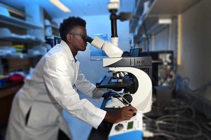 A student in the Summer Research Program uses a microscope