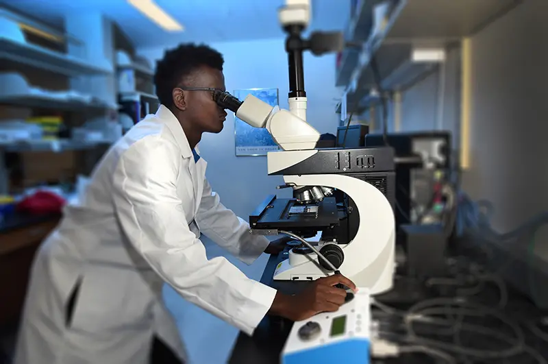 A student in the Summer Research Program uses a microscope