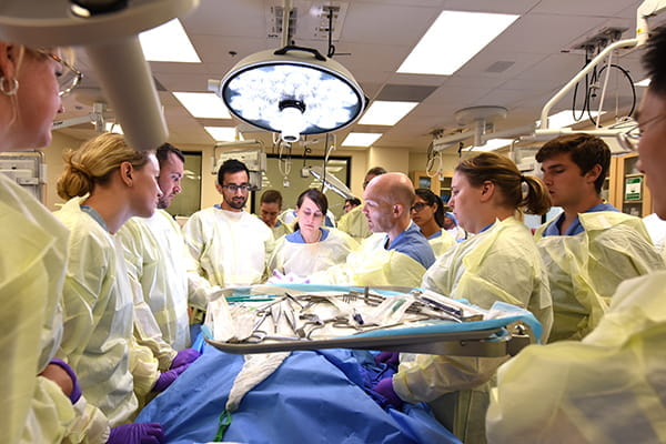 An ENT specialist teaches learners surgery skills in a simulated operating room.