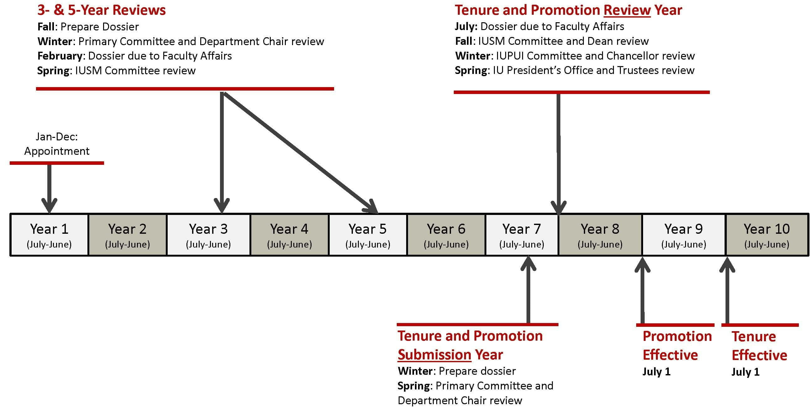 tenure probationary timeline shows career path from year 1 to year 10. Review occurs in years 3 and 5. Tenure and promotion submission occurs in year 7. Promotion is effective in year 9 and tenure is effective in year 10.