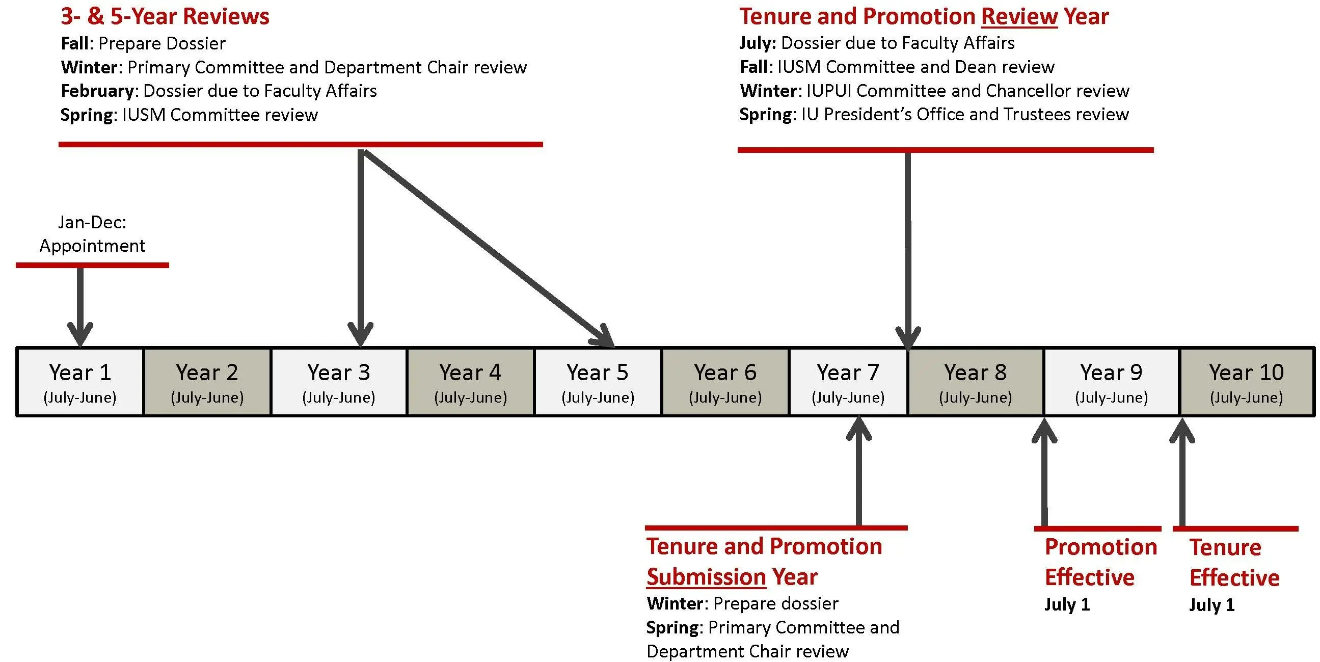 tenure probationary timeline shows career path from year 1 to year 10. Review occurs in years 3 and 5. Tenure and promotion submission occurs in year 7. Promotion is effective in year 9 and tenure is effective in year 10.