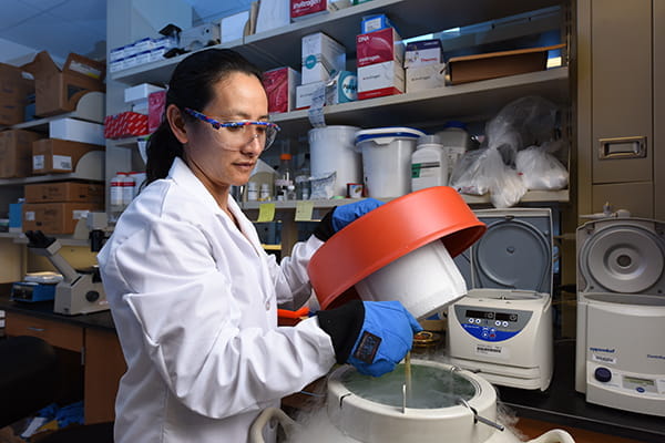A faculty scientist at work in a lab