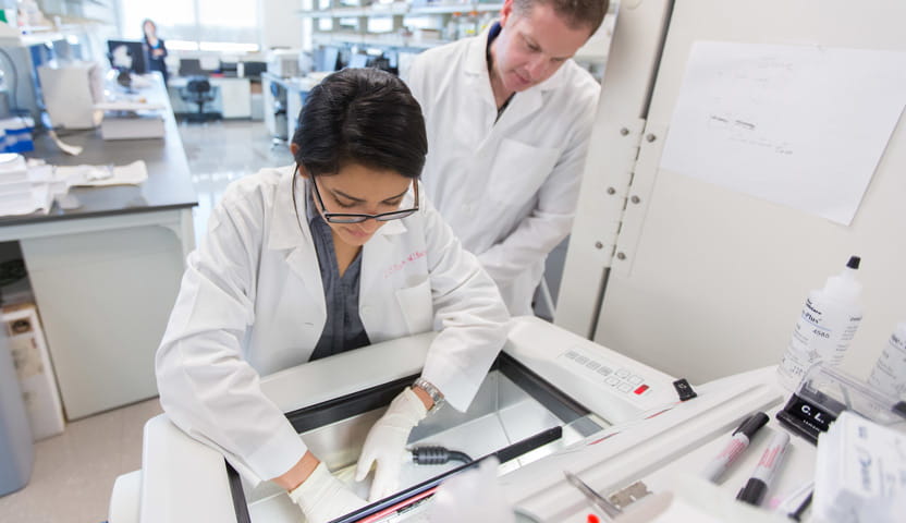 two scientists work together in the lab