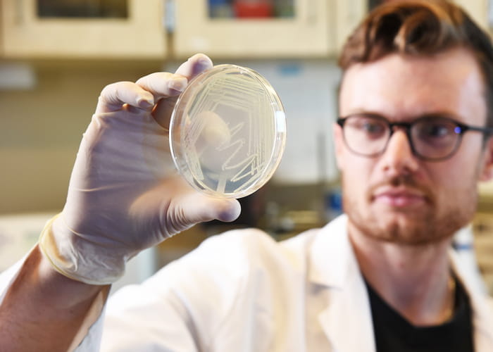 a researcher holds up a sample in the lab and examines it