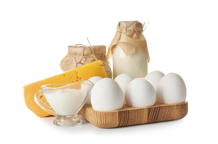 dairy