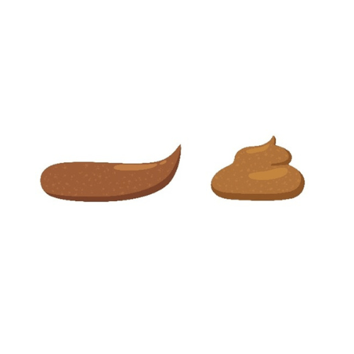 poop that is a smooth sausage and soft blob