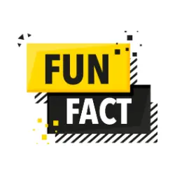 Fun Fact icon