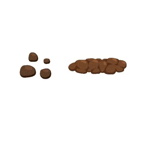 poop that is hard lumps