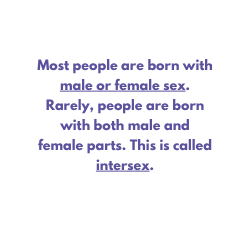 Most people are born with male or female sex. rarely people are born with both male and female parts. This is called intersex.