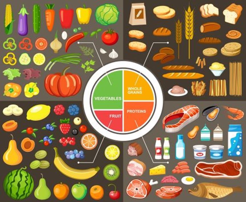 picture of veggies whole grains proteins and fruits around a portion plate