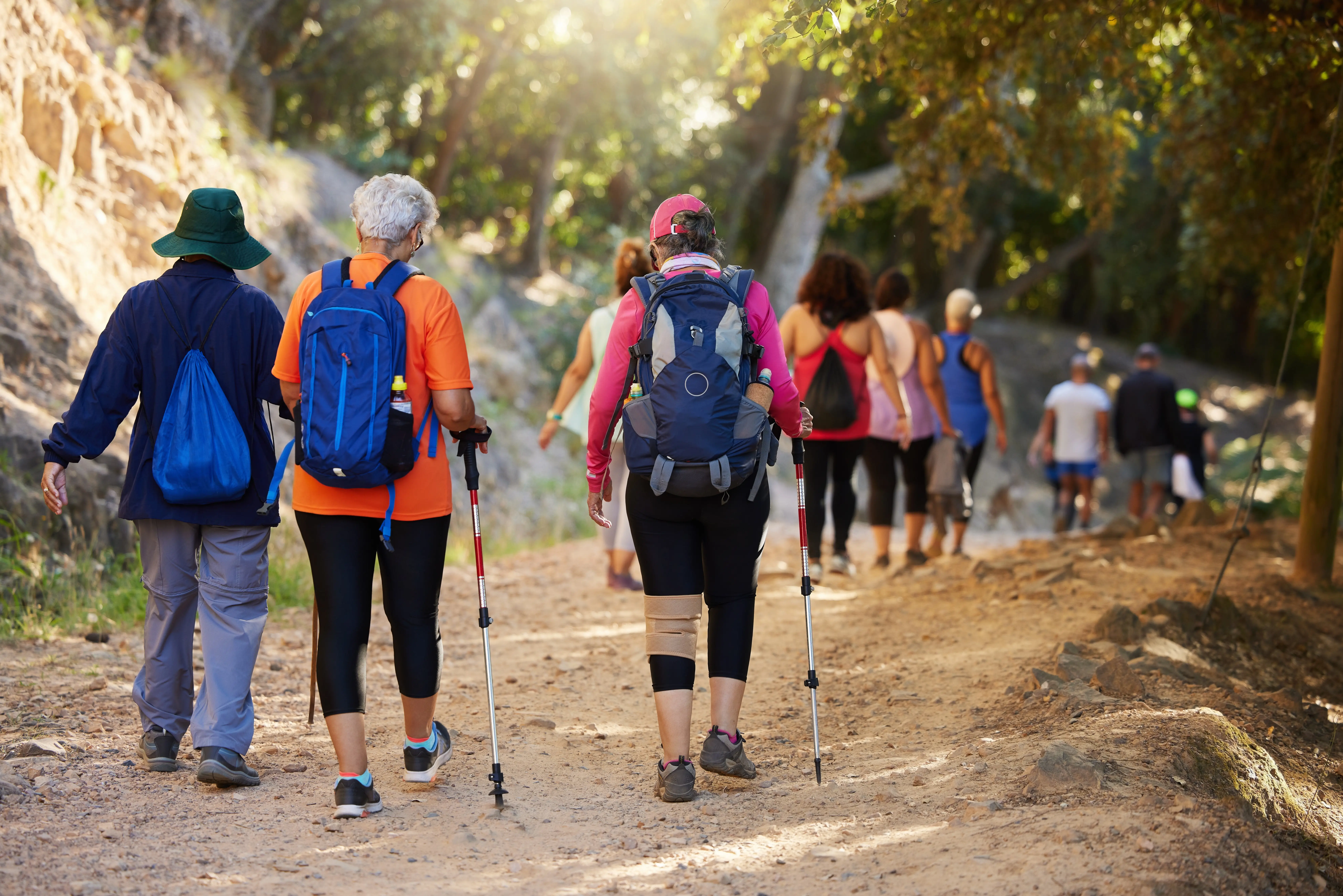 group of people hiking in the woods