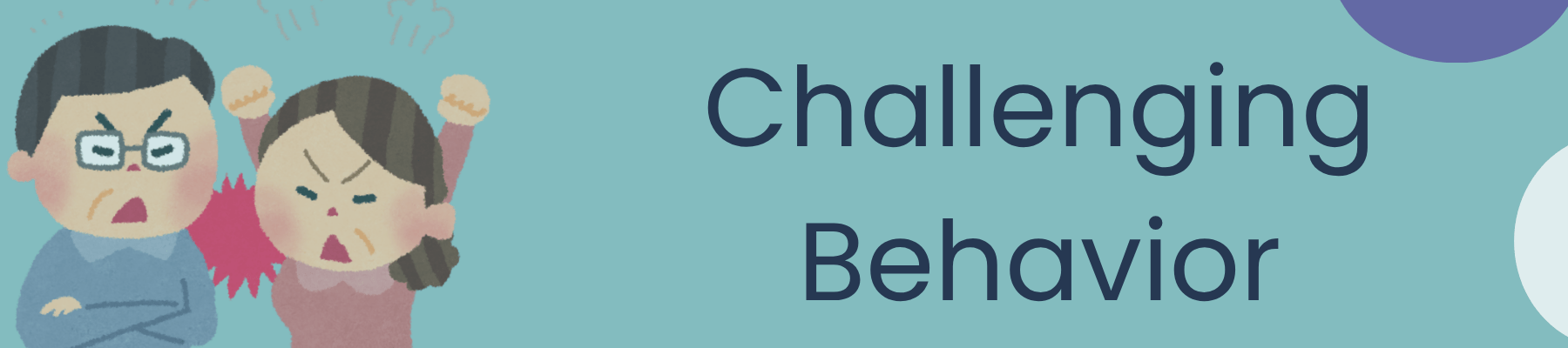 Challenging Behavior Banner